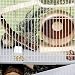 Angoily 2St Käfigteiler für Hamster Hasenzubehör Kaninchenzaun maschendrahtzaun Hamsterkäfig Drahtbrett Käfig-Trenngitter Kleine Tiere Isolationsplatine Kaninchenhaus Hühnerdraht Baby Weiß