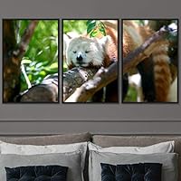 3 Piece Framed Canvas Wall Art Firefox Rustic Urban Canvas Prints Home Artwork Decoration for Living Room,Bedroom - 16