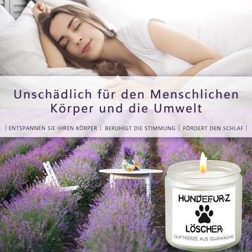 Scentoria Geschenke für Hundebesitzer Frauen, Duftkerze im Glas - Hundefurz Löscher, Lustige Geschenk für Hunde Liebhaber Frau Freundin zum Geburtstag, Geburtstagsgeschenk für Frauen Mann(Lavendel)