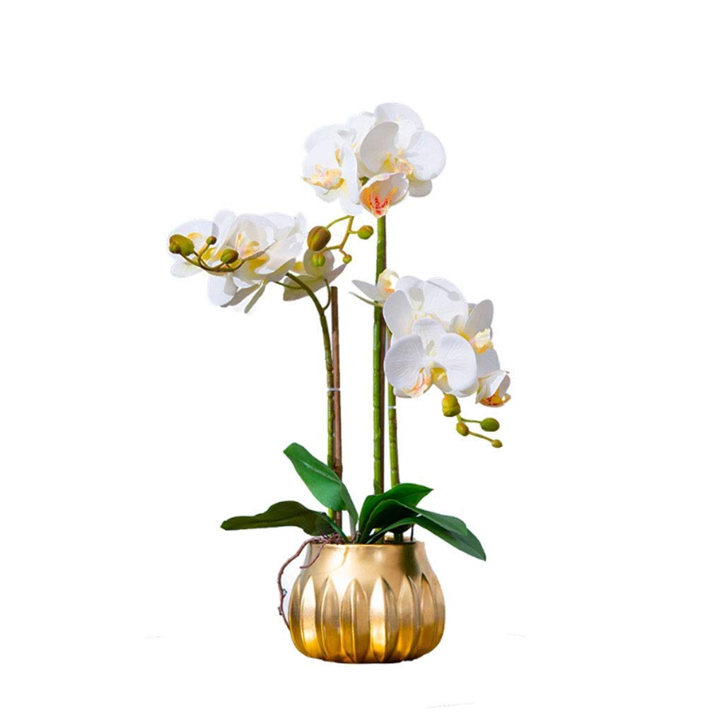 XDLEDMKIZ Artificial Flower in Pot Faux Phalaenopsis Flower Arrangement, Artificial Orchid Flowers with Gold Vase, Home Wedding Party Centerpieces Decor Table Centerpiece