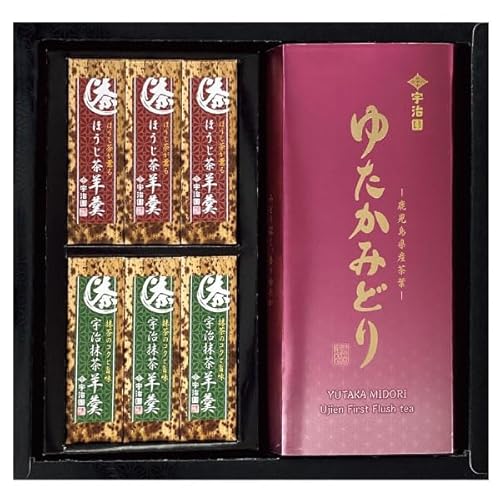 F ΒEr㻃Zbg YM-20 {  悤 v[g Mtg 蕨 Ԃ