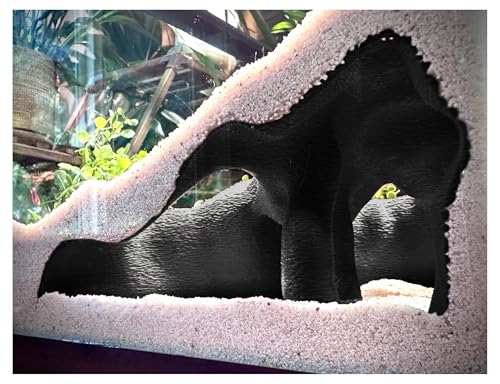 Aquarium & Terrarium Corner Underground Cave Faux Mangrove Root Hideout for Betta Corydoras Shrimp Geckos & Snakes Natural-Look Tank Decor in Textured Root Style (Charcoal 7.5 x7.5x4)