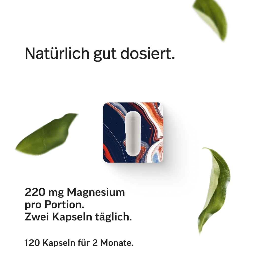 edubily® Magnesium Komplex Kapseln - Magnesiummischung aus Magnesiumbisglycinat, Magnesiummalat und Magnesiumcitrat - Ohne Magnesiumstearat - (250 Kapseln - Neue Rezeptur)