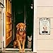 GABSHAIM Custom Crazy Dog Lives Here Warning Metal Sign Funny Australian Shepherd Welcome Tin Sign for Outdoor Home Farmhouse Wall Art Decorations 12X8 Inch