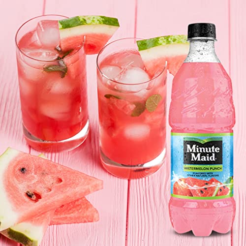 Louisiana Pantry Minute Maid Fruit Punch - 12, 20 Ounce Bottles (4 Flavor Variety Pack) #TOP4