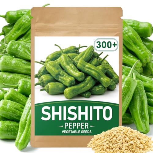 300 Premium Heirloom Japanese Shishito Pepper Seeds for Planting - Mild Pepper Seeds High Germination Vegetable Seeds for Home Garden Raised Beds Containers Greenhouse Indoor Outdoor Use