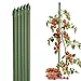 Produktbild Sekey Tomaten Rankhilfe, Pflanzenstütze für Gurken, Bohnen, Himbeeren, Blumen, Kunststoff Beschichtetes Stahlrohr Rostfrei Pflanzenstäbe, 75 cm x 8 mm, 5 Stück