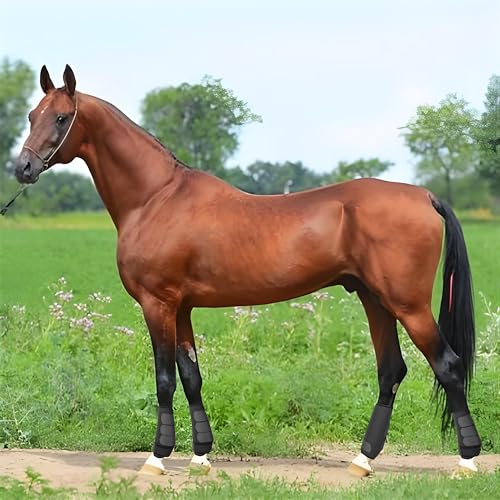 Accompme BOOTS1 Horse Boots Splint Boots thumb #1