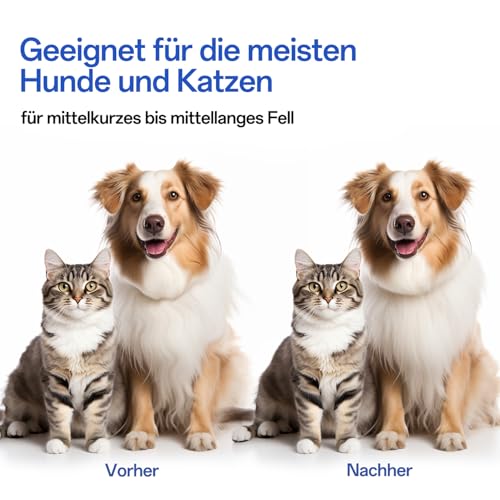 ACE2ACE Hundebürste Katzenbürste für Langhaar und Kurzhaar