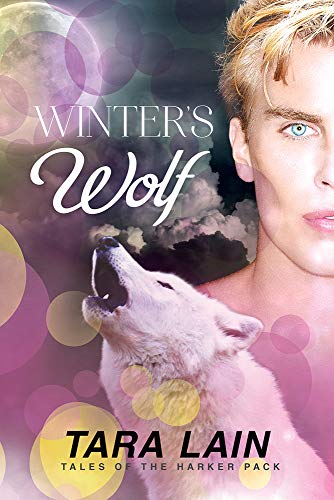 Winter's Wolf view 2