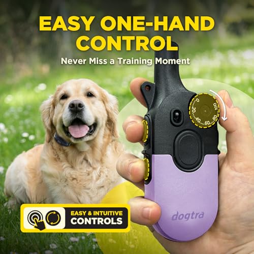Image of Dogtra 200iQ Remote Training E Collar - 100 Levels, Tone, Vibration, 1 /2 Mile Range - Compact, Waterproof, One-Handed Control for Dogs 10 lbs+ - Lightweight Daily Training - Slip Resistant Lavender