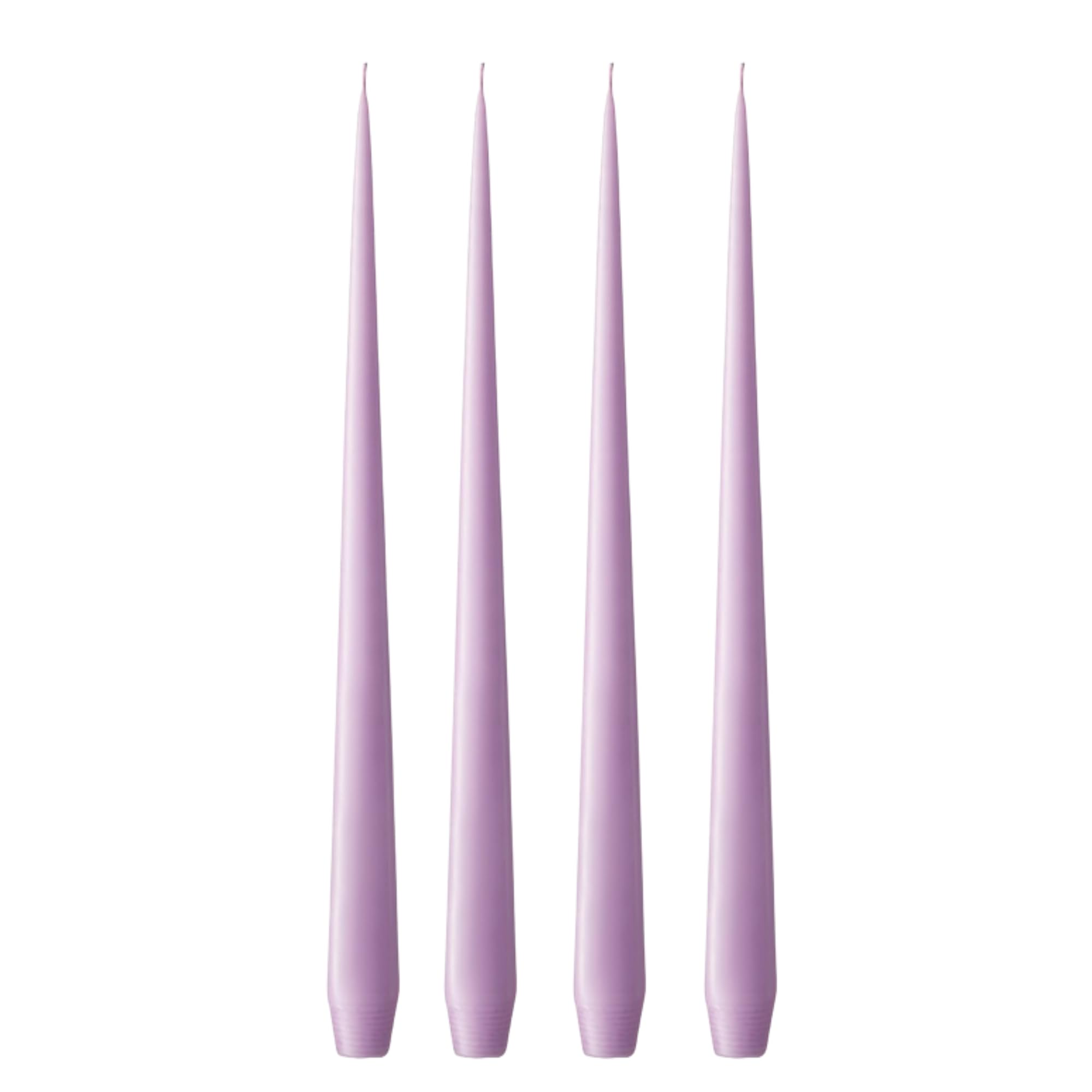 Ester & Erik Crocus Delight Dinner Candles - Set of 4 in Giftbox - 32 cm Tall Taper Candles with Cotton Wick - Made from 100% Fragrance-Free Unscented Pure Paraffin Wax - 8+ Hour Burn Time