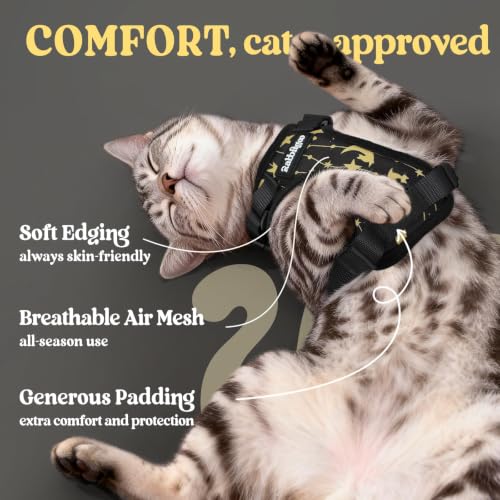 Image of rabbitgoo Cat Harness and Leash Set, Escape Proof Vest, Lunar Prowl | Soft Breathable Mesh, Easy Adjustable Fit, Snap Buckles, Sturdy Clip, Reflective Strips, for Average Cats Walks, S