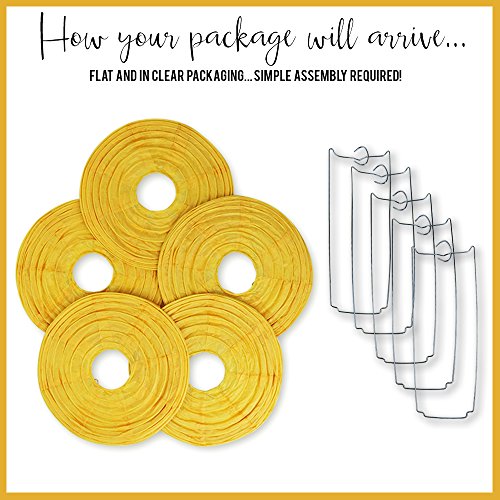 Just Artifacts 8-Inch Pineapple Yellow Chinese Japanese Paper Lanterns (Set Of 5, Pineapple Yellow) #TOP2