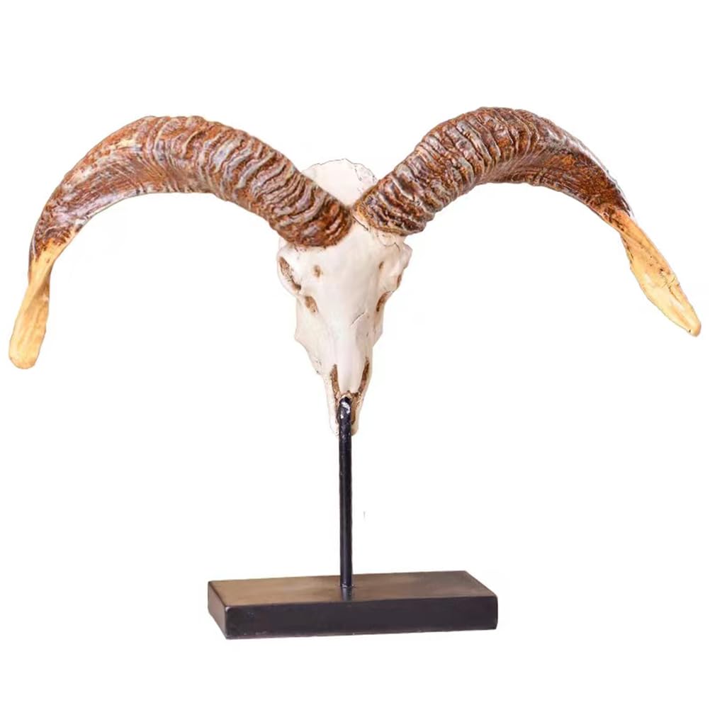 Echte Schaf Schädel Exemplar - Taxidermy Schaf Schädel Statue - 12.99inch Tall Skull Dekoration für Sammlerstück Figuren Home Office Tabletop Ornamente
