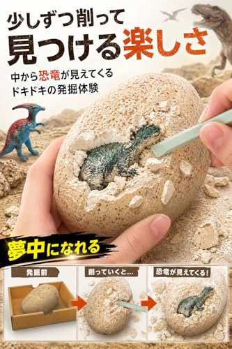 Jeu de sciences et d'expérience Dino Egg Maxi Pack - vue 3