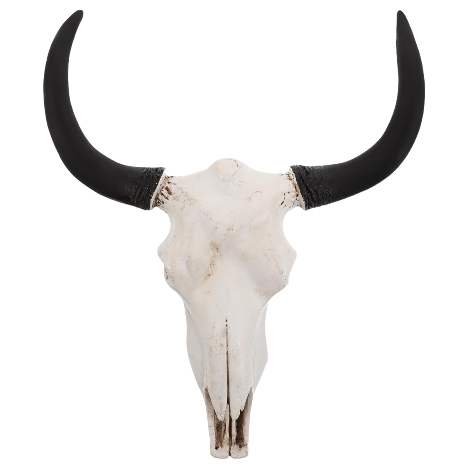 HOOTNEE Decorazione da Parete in Resina Corna Curve Teschio Gotico per Arredamento Rustico di Baita Stile Western o Caverna per Uomini per Tema Halloween