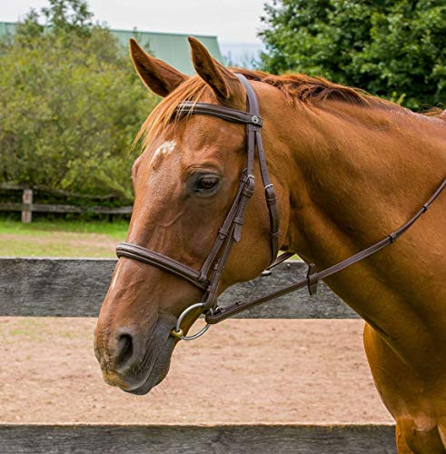 Henri de Rivel Kushy Raised Fancy Stitched Bridle - Havana - Cob