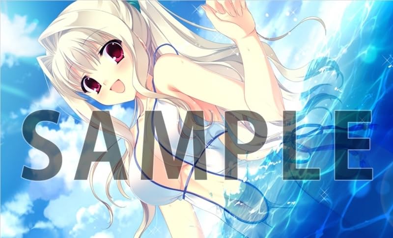 ゲーマーズ限定版】D.C.III P.S.～ダ・カーポIII プラスストーリー～ D.C.III P.S. ～ダ・カーポIII プラスストーリー～ 完全生産限定版｜の