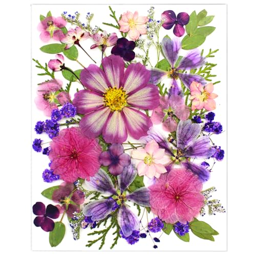 LUCISKY 35Pcs Purple Pressed Dried Flowers for Resin Molds Real Natural Bulk Dry Floral Leave for DIY Art Crafts Epoxy Jewelry Candle Soap Making Nails Decors