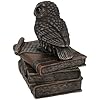 Veronese Design Bronzed Finish Wise Old Owl Trinket Box