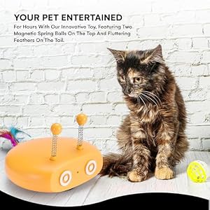 Black Rhino Interactive Cat Toy - Cat Laser Toy Automatic Motion Activated - Adjustable Speed Laser Cat Toy with Circulation Light - Rechargeable Electronic Smart Pet Toys for Indoor Exercise Black Rhino Interactive Cat Toy – Cat Laser Toy Automatic Motion Activated – Adjustable Speed Laser Cat Toy with Circulation Light – Rechargeable Electronic Smart Pet Toys for Indoor Exercise