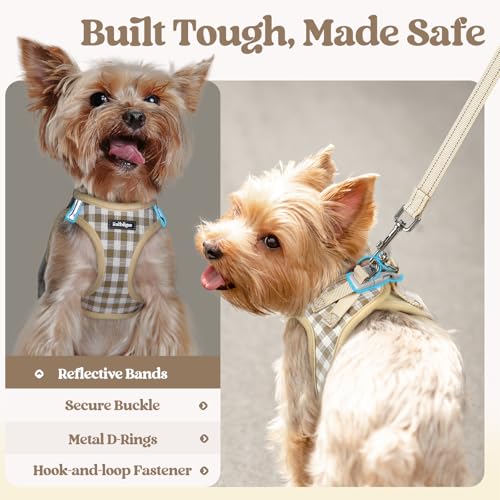 Image of rabbitgoo Dog Harness Small Sized and Leash Set, Step-in Puppy Pet Vest