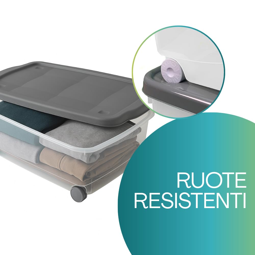 PALUPLUS 3 Contenitori Multiuso Basso con Ruote e Coperchio ANTRACITE, misura 60x40x18,5 cm e Capacità 24 Lt, Porta biancheria Trasparente, Organizer box salvaspazio per Scarpe, Vestiti - 633F -3,95
