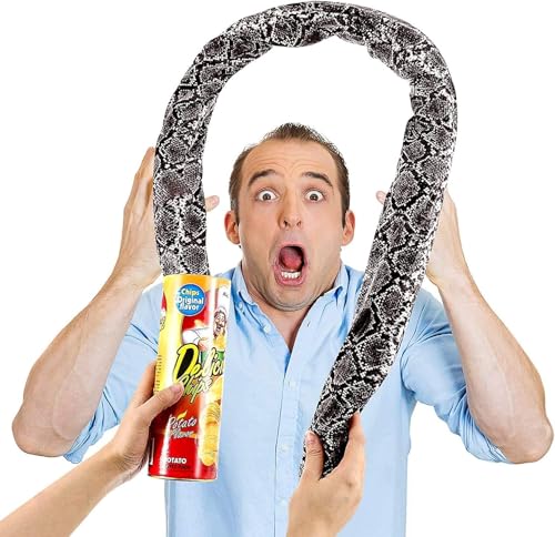 Scary Snake Prank Toy Fun Toys Azonee The Potato Chip Snake Can Jump Spring Snake Toy Gift Party Decoration Jokes Gag Toys for April Fools Day and Halloween Party 1 Pieces