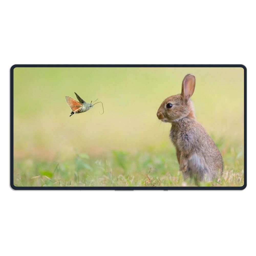 Leichong 3D Beach Sunset Beach Towel Extra Large Microfiber Soft Quick Dry for Adults, Sunset Ocean View Bath Towel Lightweight Soft Absorbent for Travel Swimming Pool Sports, 100 x 200 cm