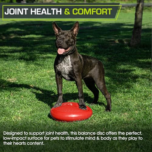 Image of ProsourceFit Core Balance Disc Trainer, 14 inch Diameter with Pump for Fitness, Balance Training, or Seating; Wobble Board for Core Stability; Flexible Floor Cushions