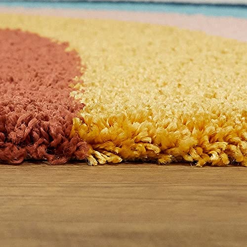 Image of Modern Soft 3D Shaggy Fur Carpets for Living Room Thick Fluffy Rugs for Bedroom, 6x6 Feet Square Multi Color