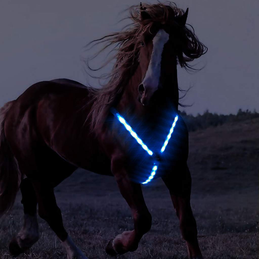 Gurtband für Pferde, Halsband, Brustpanzer, sichere Reitausrüstung, verstellbar, Nachtsichtbares LED-Licht, Brustgurt