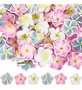 Small manufacture image 20