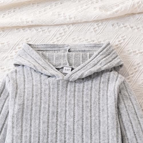 Toddler Girl Fall Clothes Set Warm Sweatshirt Pants Long Sleeve Sweatsuits Winter Hooded Pullover Outfits2