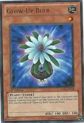 Amazon.com: Yu-Gi-Oh! - Glow-Up Bulb (STBL-EN018) - Starstrike