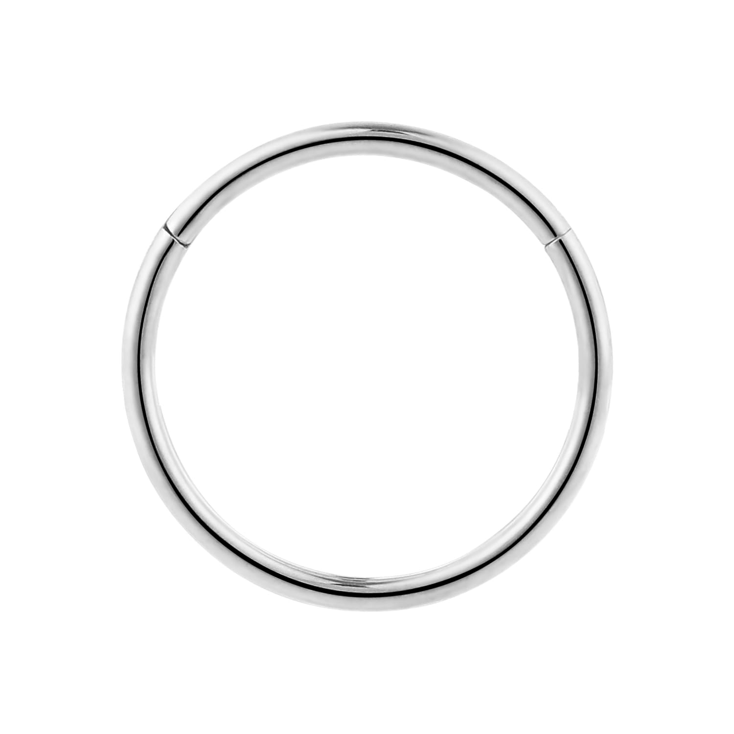 365 SLEEPERS 1pc Titanium Implant Grade Nose Rings 20G 18G 16G 14G 12G 10G 8G 6G Septum Hinged Segment Ring Body Piercing Jewellery Hoop Lip Rings Helix Cartilage Rook Earrings Nickel Free — view 3