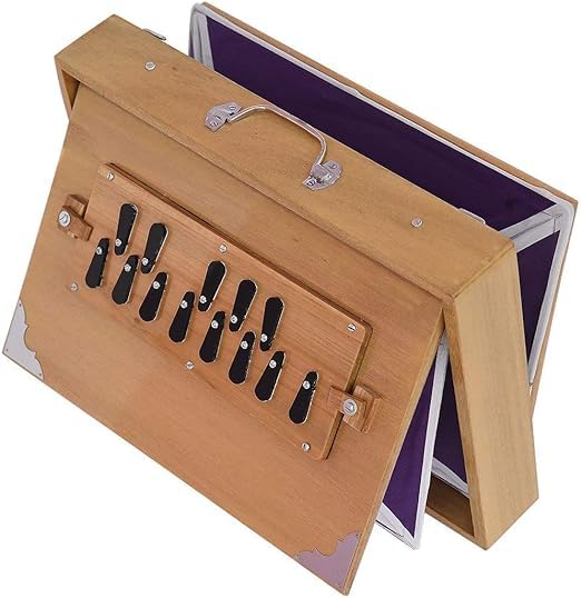 Radel Shruthi Box en bois avec soufflet et commandes latérales - 2