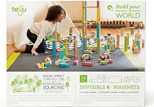 14 Piece Tegu Magnetic Wooden Block Set, Tints #TOP1