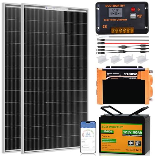 ECO-WORTHY 200 Watt 12V Complete Solar Panel Starter Kit for RV Off Grid with Battery and Inverter: 2pcs 100W Solar Panel + 30A Charge Controller + 100Ah Lithium Battery + 1100W Premium Solar Inverter