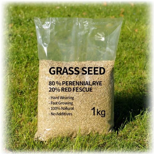 Grass Seed - Premium Perennial Ryegrass & Red Fescue Blend: Quality Lawn Seed Mix for Lush Durable UK Gardens (2 Kilograms)