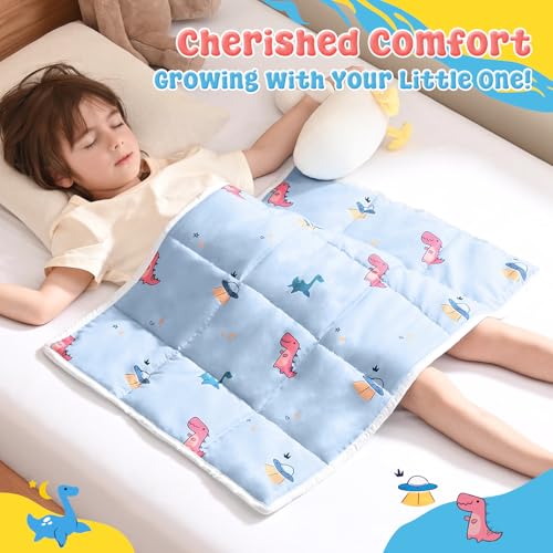 anfie Weighted Lap Pad 2 Pounds, Weighted Blanket Kids(20"*30") Cooling Blanket for Sleeping,Weighted Throw Blanket for Travel Indoor Outdoor (Light Blue Dinosaur)