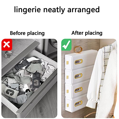 Acgrade Underwear Organizer,Wardrobe Wall Mounted Sock And Underwear Organizer,Closet Organizers,Underwear Organizer For Women(4Pcs),38*8*12Cm #TOP5