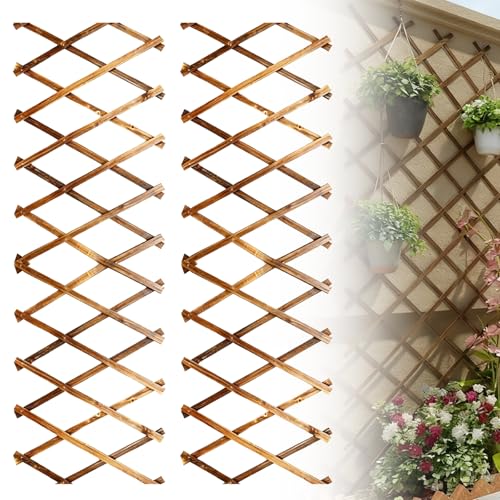 Lot De 2 Treillis Extensible, Treillis De Jardin Extensible, 180 X0,7x30 Cm Clôture Extensible pour Plantes Grimpantes, Clôture De Jardin Extensible en Bois...