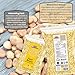 Rani Fava Beans (Split Broad Beans Skinless) 64oz (4lbs) 1.81kg Bulk ~ All Natural | Gluten Friendly | Non-GMO | Kosher | Vegan | Product of USA