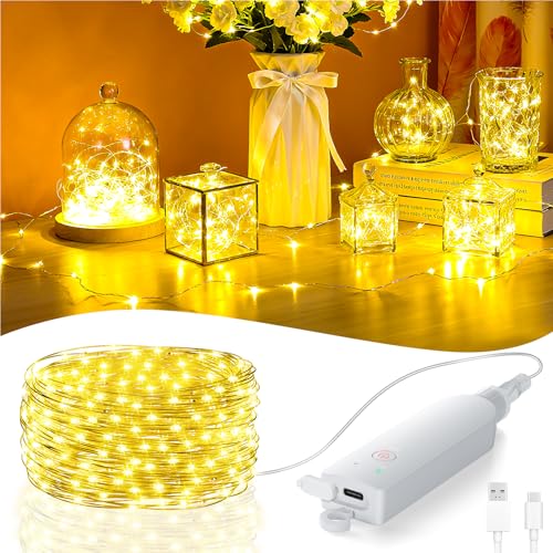 Fairy Lights Battery Operated, Rechargeable String Lights with Timer, Mini Waterproof LED Twinkle Lights for Bedroom, Christmas Decorations, Wedding Party Decor (Warm White, 5M/16FT)
