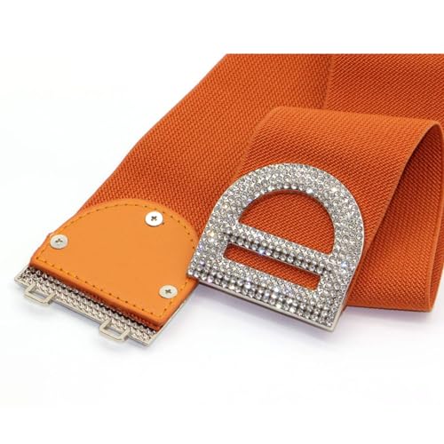 ZYALTFDC Women's Elastic Vintage Belt for Dresses Ladies Women Girls Stretchy Retro Cinch Wide Waist Belt for Women4