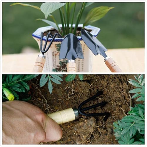 Image of 3-Piece Gardening Tools Kit for Home (Wooden Handle Cultivator,Fork, Small Trowel) Stainless Steel Garden Set, Farming Tool for Indoor Outdoor Agriculture Use (GTK)