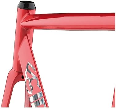 Cinelli Vigorelli Shark Track Frame