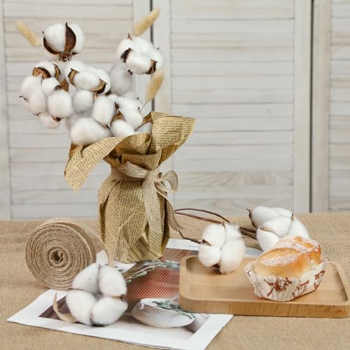Domestar HR2668 13 Bundles Of Cotton Stems thumb #5